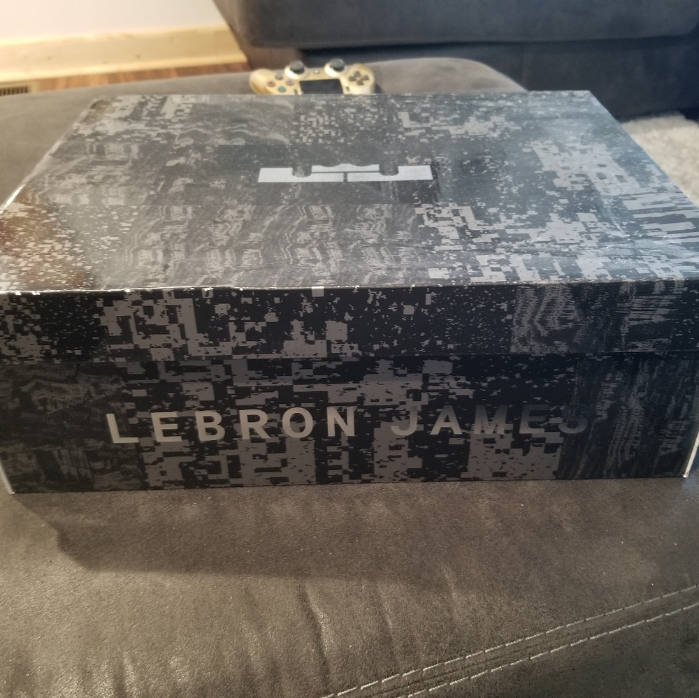 Lebron 14 "Flip the Switch"